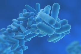 Prevenção e Controlo da Legionella 