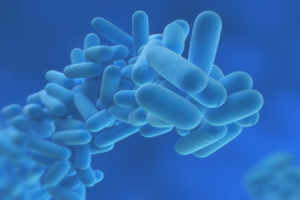 Instituto de Formação Vulcano apresenta novo curso: legionella – prevenção  e combate (online)